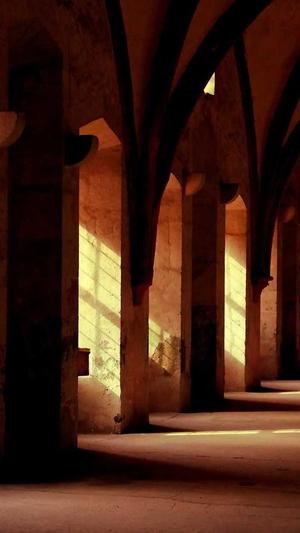 水果佛手瓜怎么吃截图1